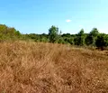 Снимка 4 — Парцел в Бургас, с. Варвара
