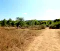 Снимка 5 — Парцел в Бургас, с. Варвара