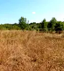 Парцел в Бургас, с. Варвара