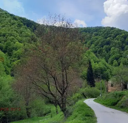 Photo 4 — Plot in Oblast Lovech, с. Васильово