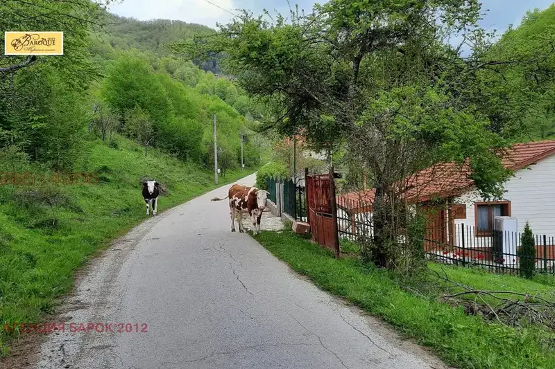 Plot in Oblast Lovech, с. Васильово