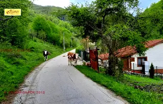 Парцел в Ловеч, с. Васильово