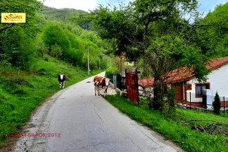 Парцел в Ловеч, с. Васильово