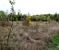 Снимка 5 — Парцел във Велико Търново, с. Велчево