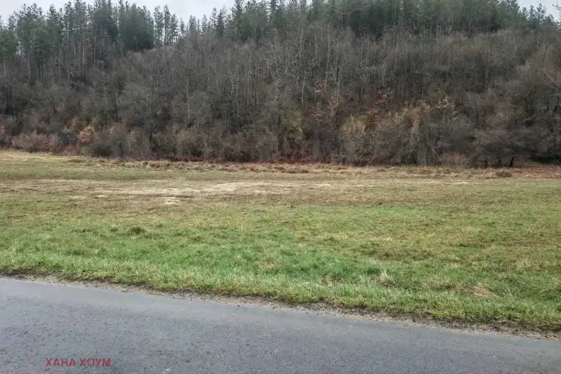 Plot in Oblast Lovech, Velchevo