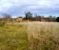 Снимка 4 — Парцел в Монтана, с. Винище