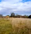 Парцел в Монтана, с. Винище