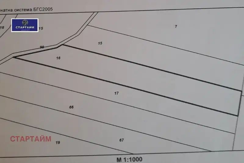 Plot in Voinegovci