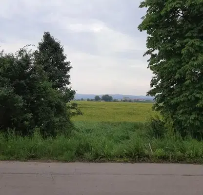 Снимка 3 — Парцел в с. Войнеговци
