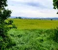 Снимка 4 — Парцел в с. Войнеговци