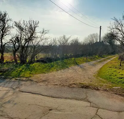 Снимка 3 — Парцел в Шумен, с. Върбяне
