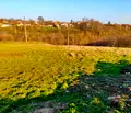 Снимка 5 — Парцел в Шумен, с. Върбяне