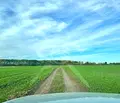 Снимка 2 — Парцел в Пловдив, с. Ягодово