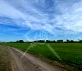 Снимка 3 — Парцел в Пловдив, с. Ягодово