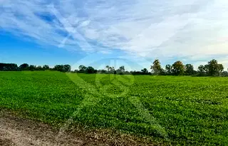 Парцел в Пловдив, с. Ягодово