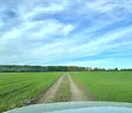 Снимка 3 — Парцел в Пловдив, с. Ягодово
