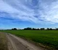 Снимка 5 — Парцел в Пловдив, с. Ягодово