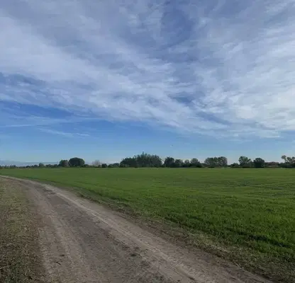 Снимка 5 — Парцел в Пловдив, с. Ягодово