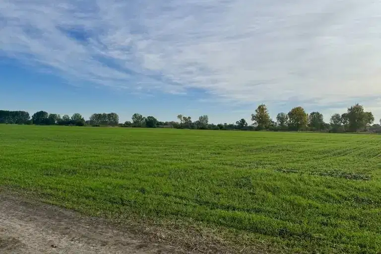 Plot in Oblast Plovdiv, Yagodovo