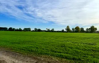Парцел в Пловдив, с. Ягодово