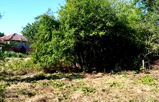 Парцел в Стара Загора, с. Землен
