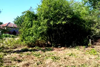 Парцел в Стара Загора, с. Землен