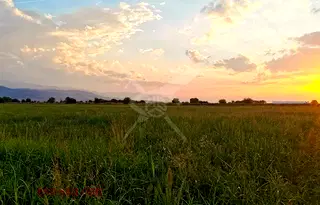 Парцел в Пловдив, с. Златитрап