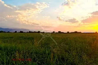 Парцел в Пловдив, с. Златитрап