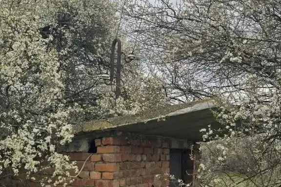 Парцел в Хасково, с. Златополе