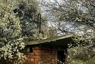 Парцел в Хасково, с. Златополе