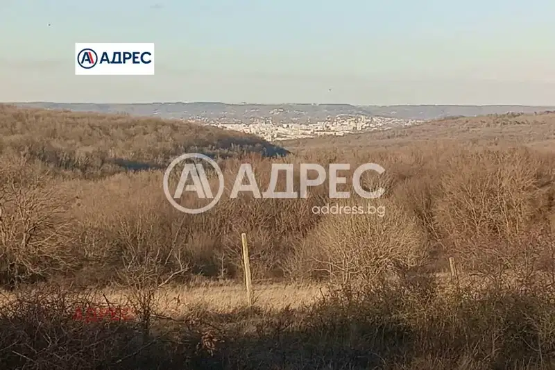Plot in Zvezdica