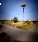 Парцел в Кърджали, с. Звиница