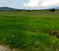 Снимка 3 — Парцел в София, Самоков
