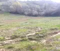 Снимка 3 — Парцел в Благоевград, Сандански
