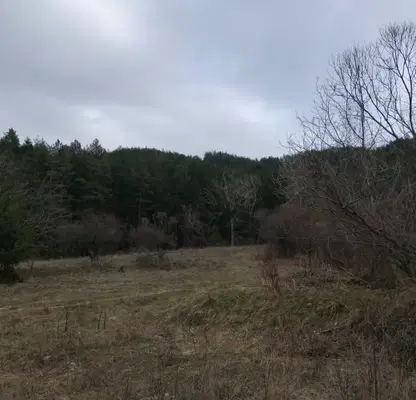 Photo 2 — Plot in Oblast Kyustendil, Sapareva Banya