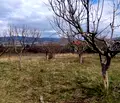 Снимка 3 — Парцел в Кюстендил, Сапарева баня