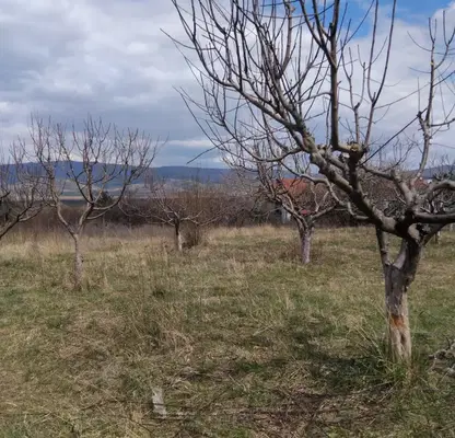 Photo 3 — Plot in Oblast Kyustendil, Sapareva Banya