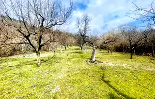Парцел в Шумен, м-т Под Манастира