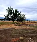 Парцел в София, Бенковски