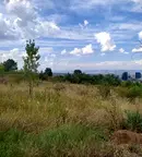 Парцел в София, Бояна