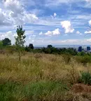 Парцел в София, Бояна