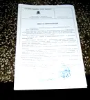 Парцел в София, Бояна