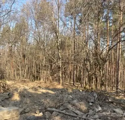 Photo 5 — Plot in Sofiya, Dragalevci
