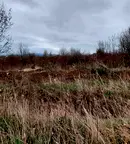 Парцел в София, Драгалевци