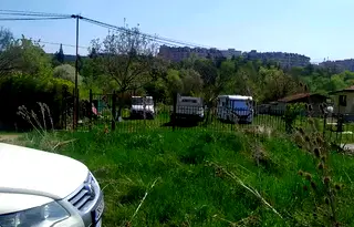 Парцел в София, Дървеница