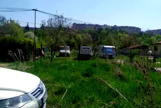 Парцел в София, Дървеница