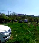 Парцел в София, Дървеница
