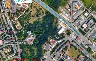 Парцел в София, Дървеница