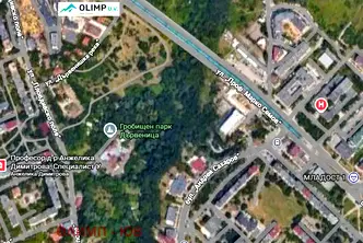 Парцел в София, Дървеница