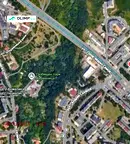 Парцел в София, Дървеница